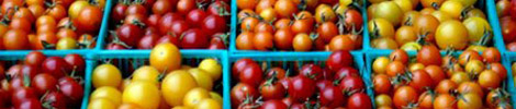 http://findersfree.com/wp-content/slides/slide-farmers-market.jpg
