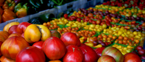 Tomatoes