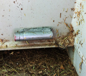 Micro cache