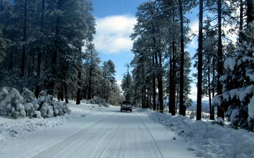Driving in the snow