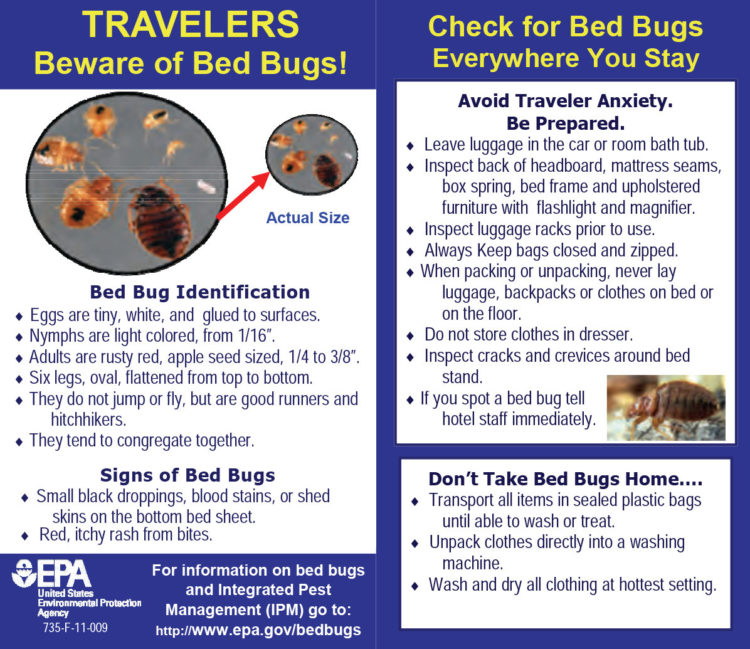 EPA bed bug tips for hotel travel