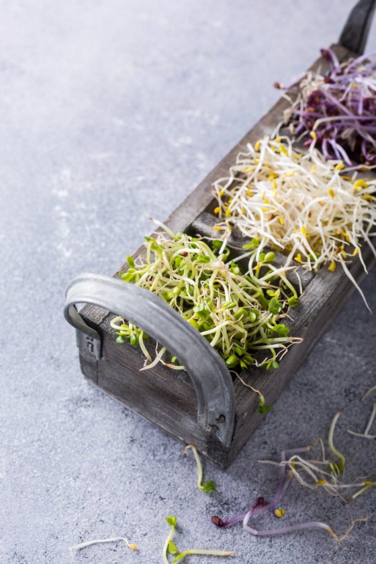 Assorted vegetable sprouts