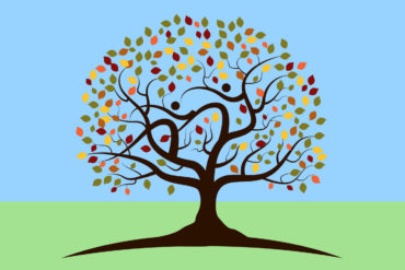 What does 'first cousin once removed' mean? - FindersFree.com