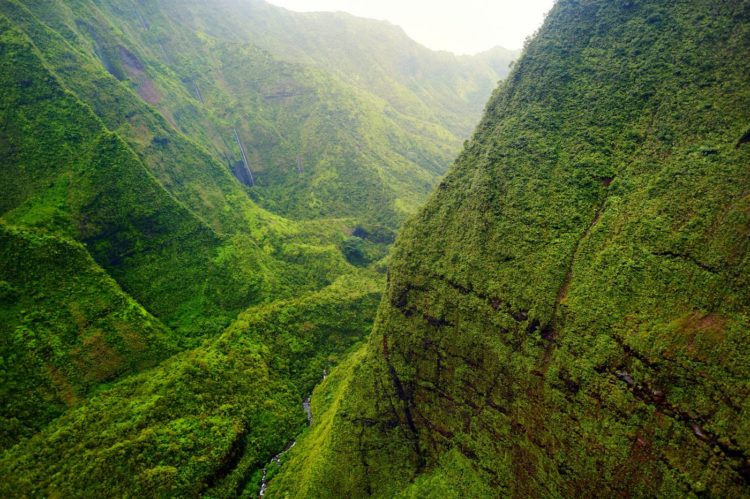 Raniest place in the US - Mt Waialeale - Kauai Hawaii