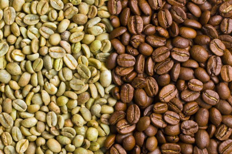 Unroasted green and roasted coffee beans