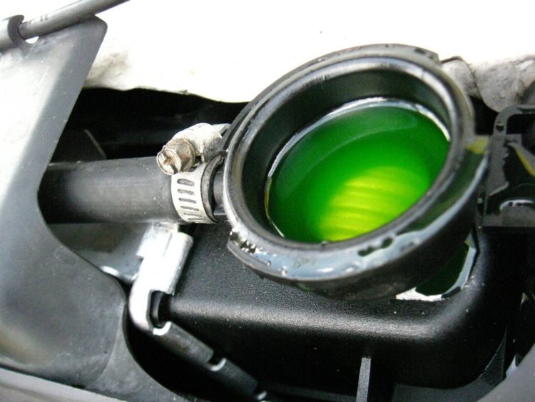 Antifreeze in well - Fluorescent green