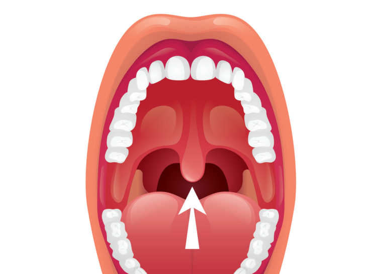 Uvula in throat
