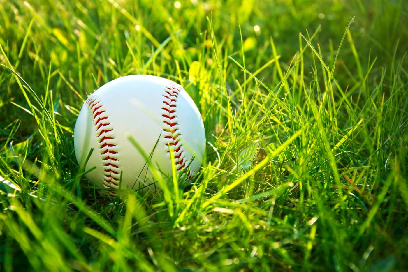 Baseball in green grass