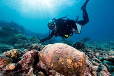Ginger jar at the Two Brothers shipwreck site