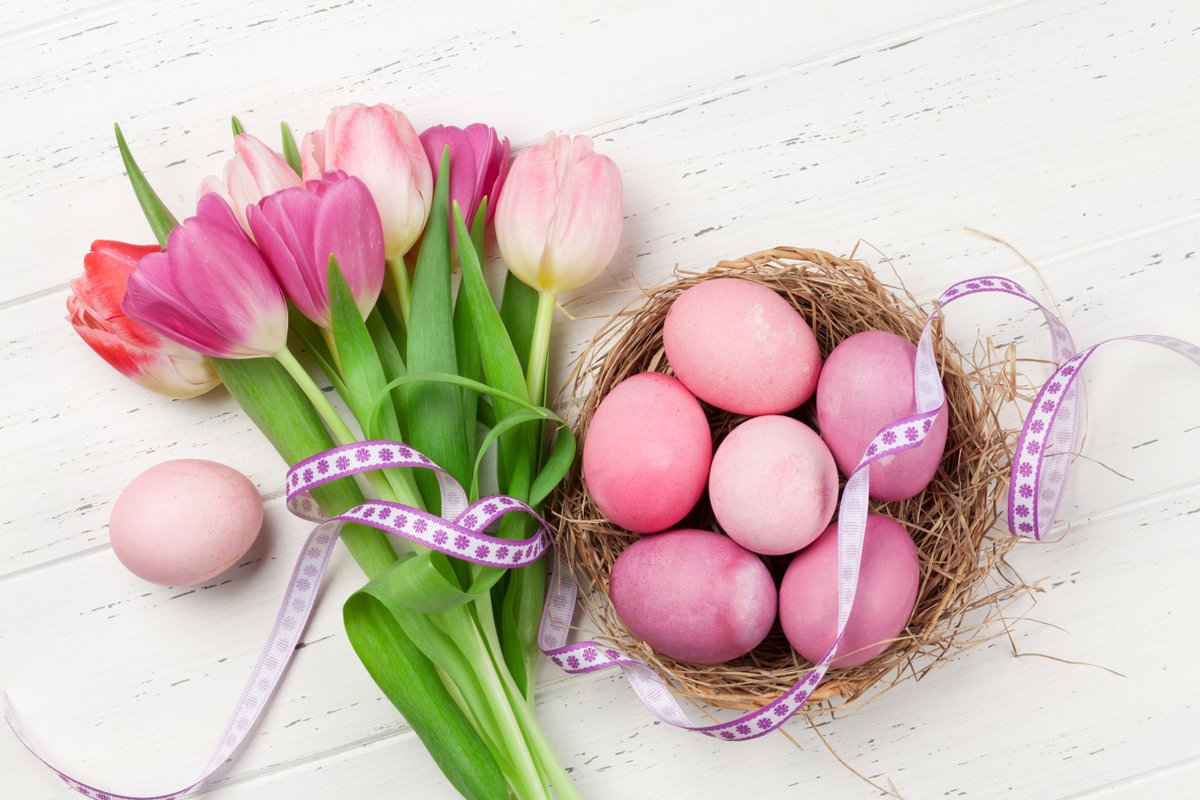 Easter eggs and tulips in pink