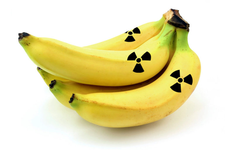 Are bananas really radioactive?