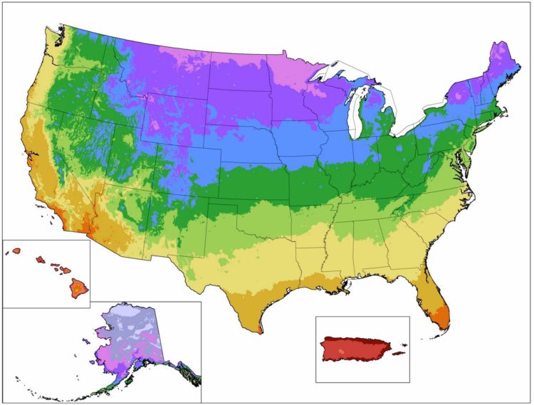 USDA Plant Hardiness Zone Map