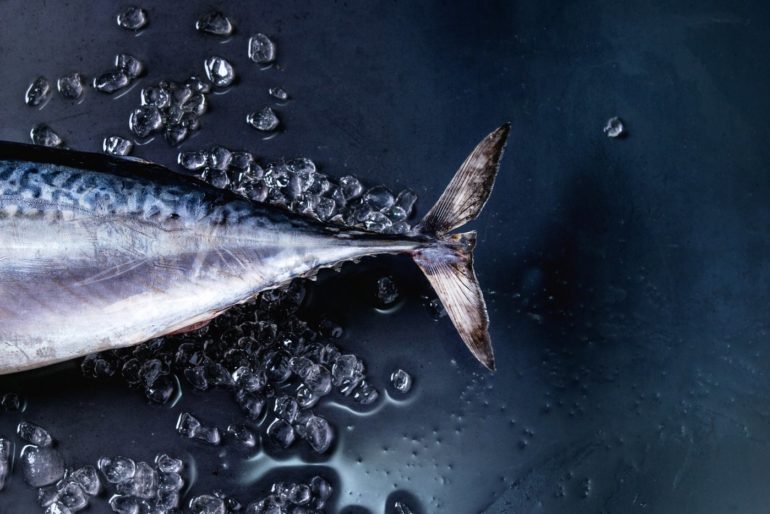 Why do fish have mercury in them?