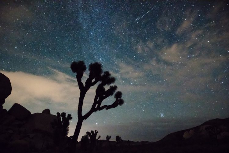 Perseid meteor over Joshua Tree National Park in 2015 - Credit National Park Service Brad Sutton