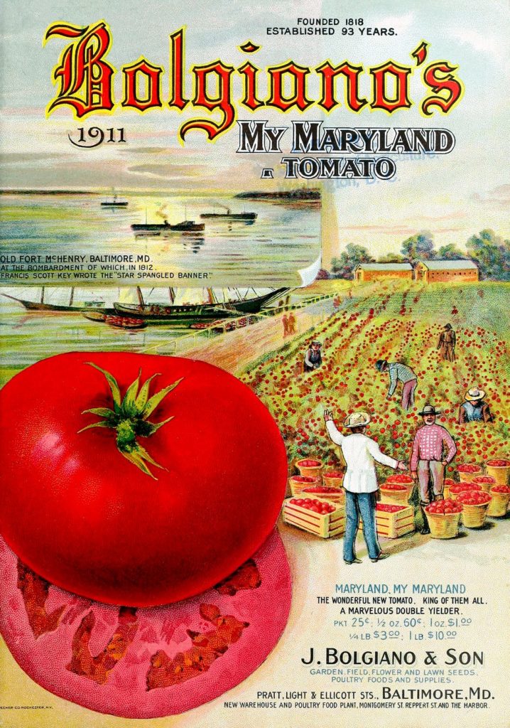 Vintage Bolgianos tomato catalog from 1911