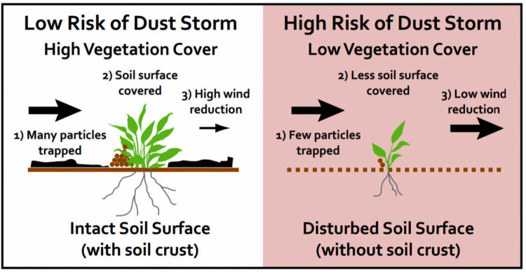 Environmental dist storm risk - Haboob infographic from USGS