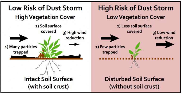 Is a dust storm dangerous? - FindersFree.com