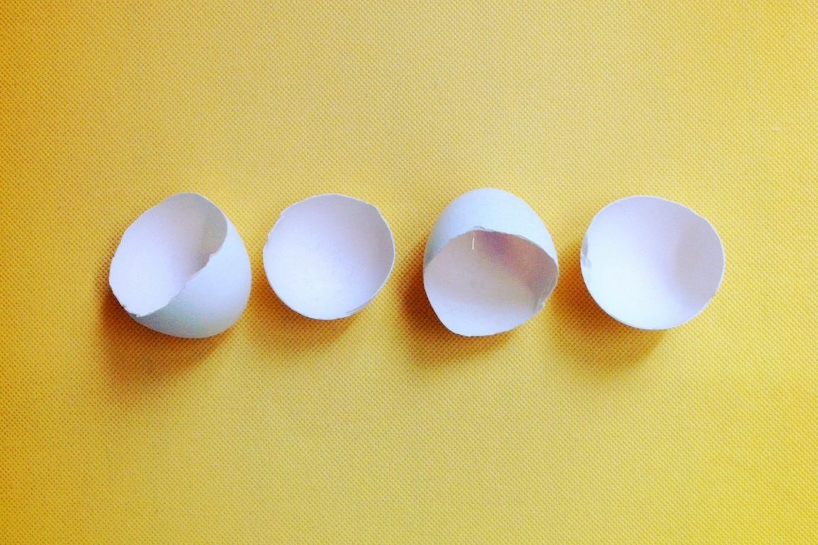 Can you put egg shells down the garbage disposal?