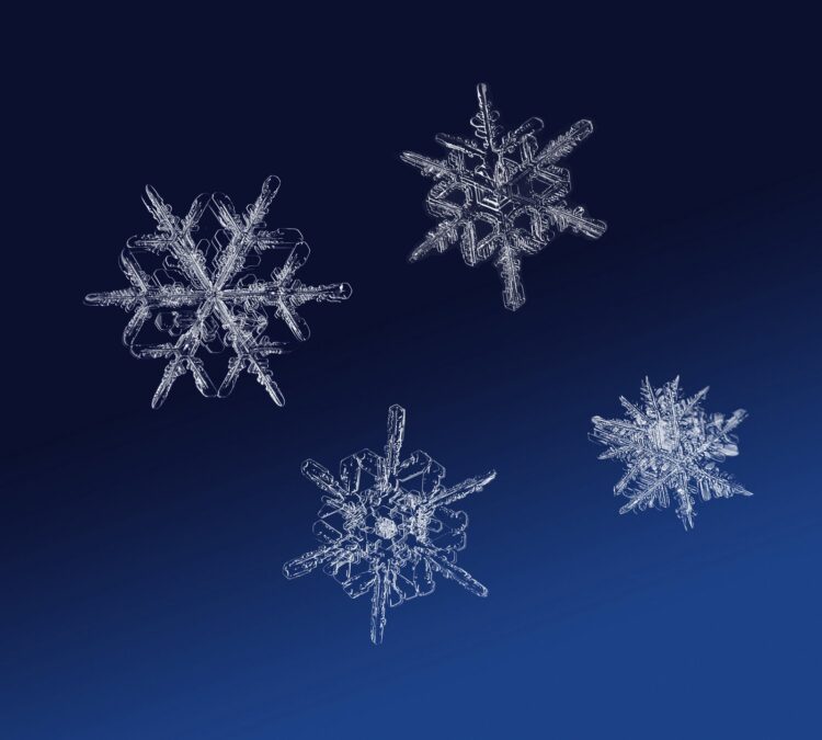 electron microscope images of snowflakes