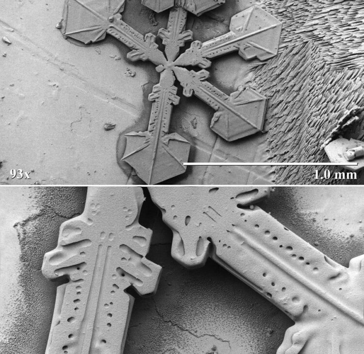 Snow crystal under electron microscope