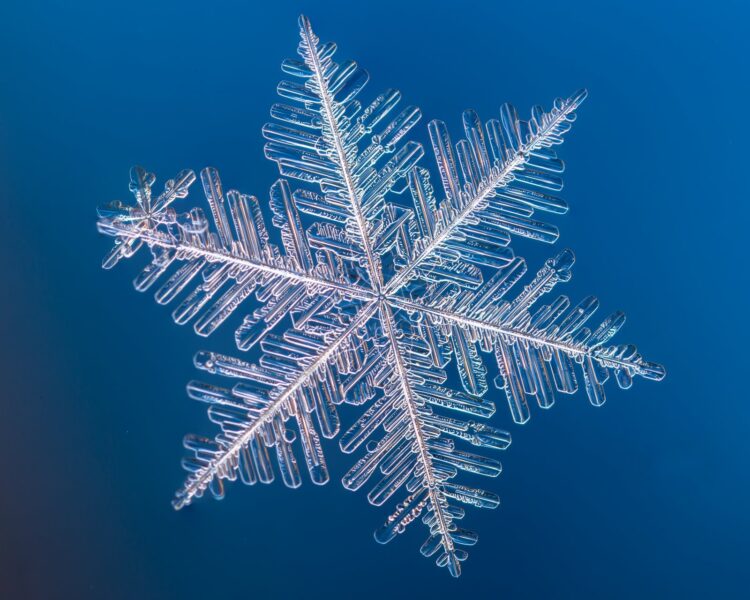 Snowflake macro photo