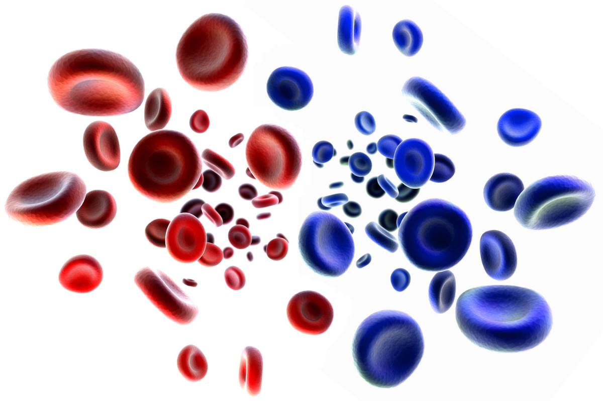 Is blood ever really blue? Blood cells